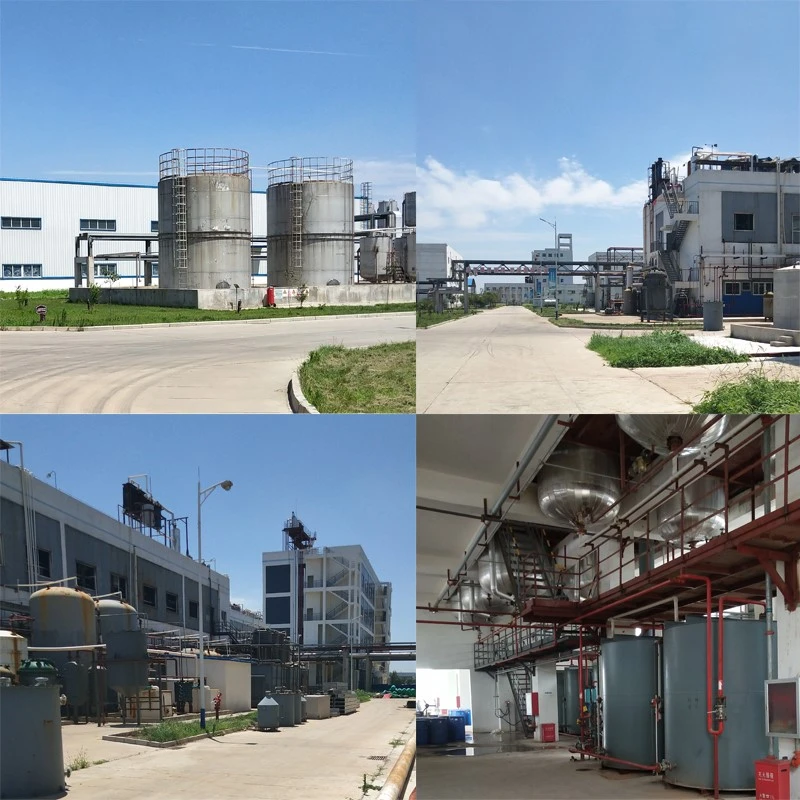 未标题-1.jpg 未标题-1.jpg